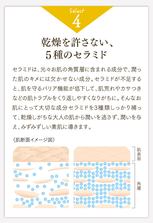 乾燥を許さない、3種のセラミド