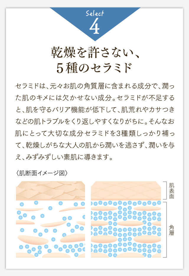 乾燥を許さない、5種のセラミド